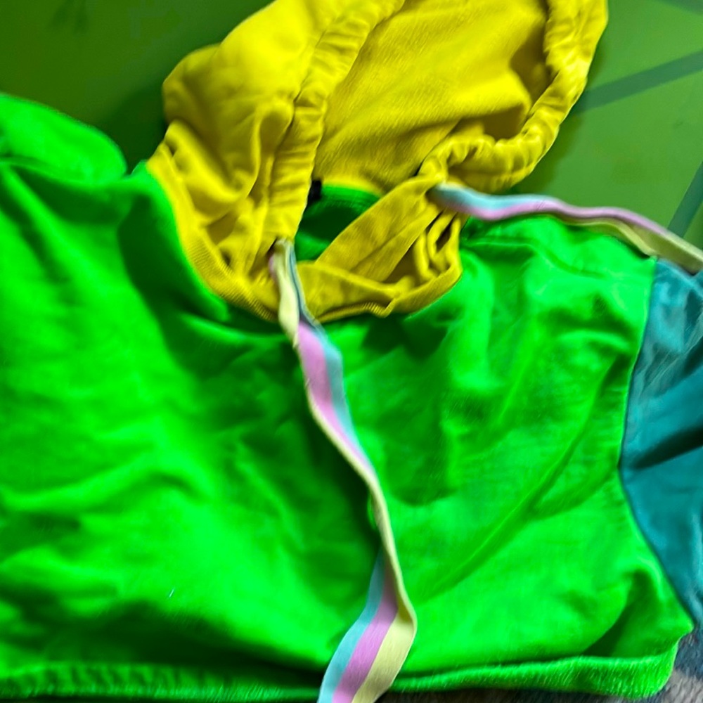 Out from Under crop hoodie